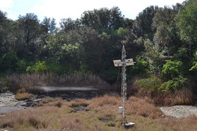 High carbon dioxide spring
